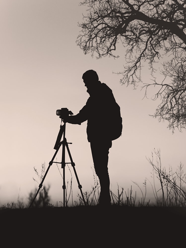 Ein Fotograf richtet seine Kamera auf einem Stativ in der Natur aus