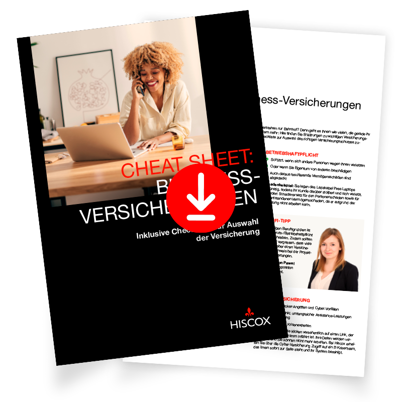 Vorschau des Cheat Sheets für Gründende