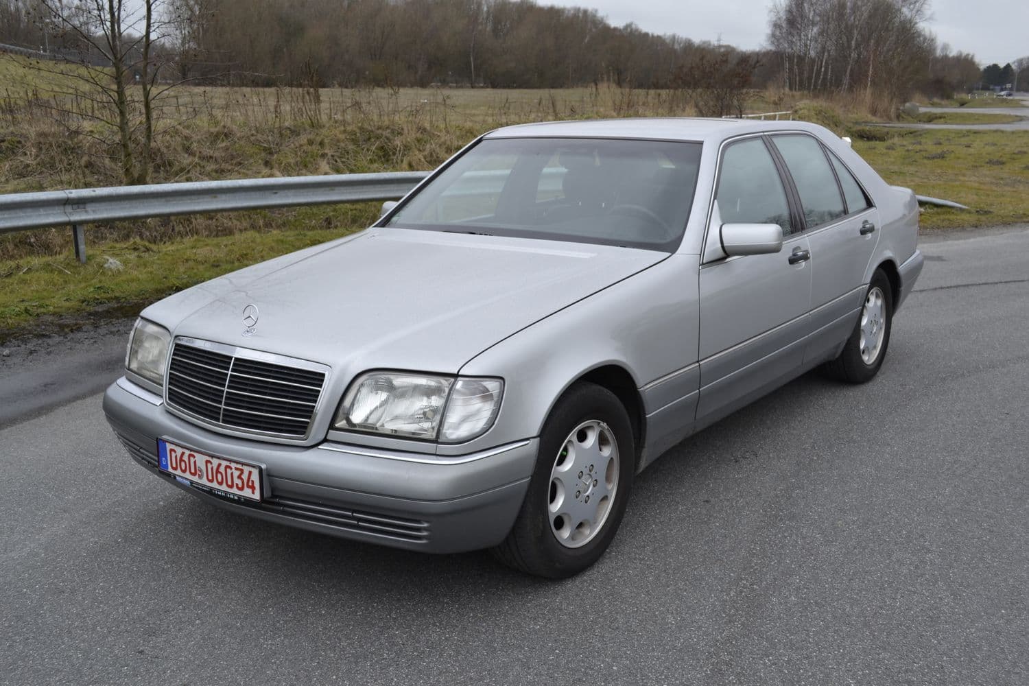 Ganze Ansicht des grauen Mercedes w140 s320 parkend an einem Straßenrand vor einem Feld.